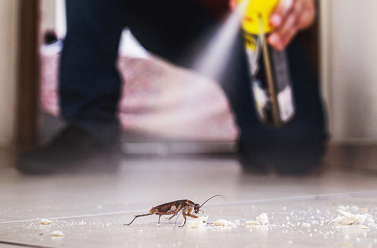 Pest Control: